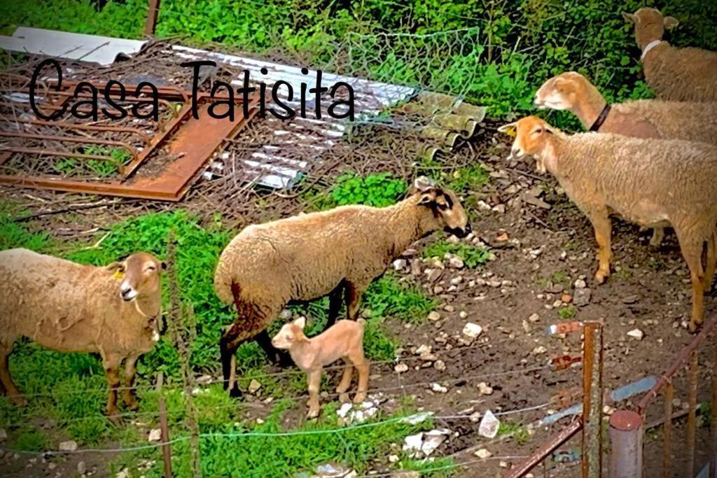 Casa Tatisita Buhardilla Lejlighed Segura de la Sierra Eksteriør billede