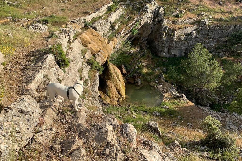 Casa Tatisita Buhardilla Lejlighed Segura de la Sierra Eksteriør billede